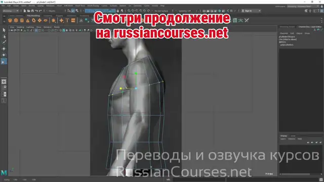 013-Modeling The Torso